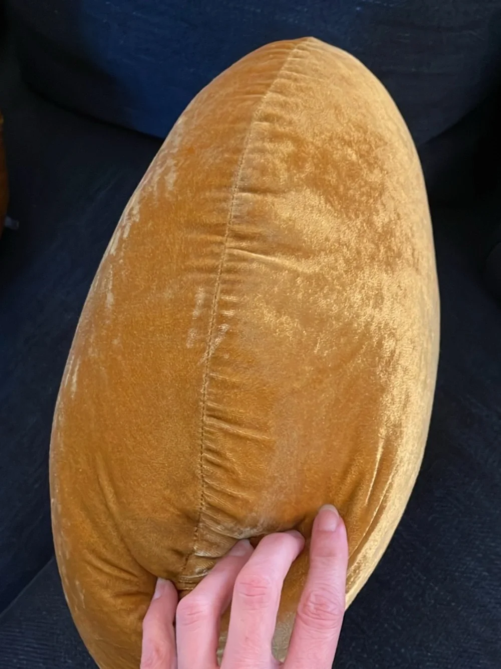West Elm Set of Round Lush Velvet Pillows in Gold